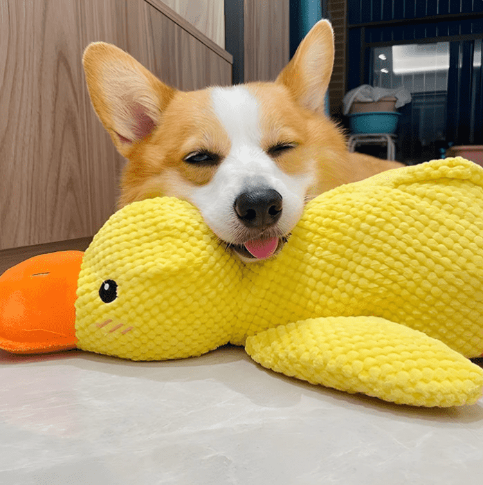 BioVet Calming Duck Toy (FREE Today)