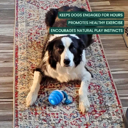 Chaser Dog Toy (FREE Today)