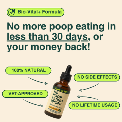 Advanced Digestive Enzyme + Probiotic Support