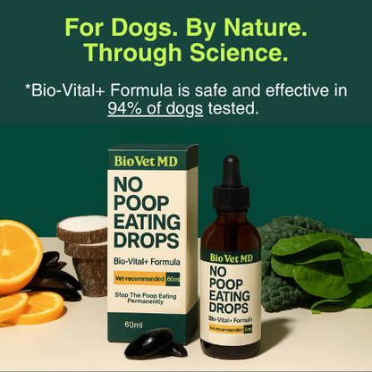 Advanced Digestive Enzyme + Probiotic Support
