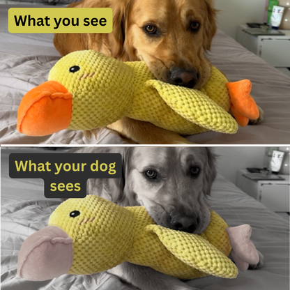 Sensory Duck Toy (FREE Today)