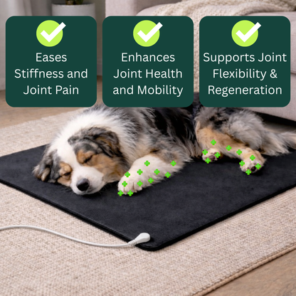 GroundedPaws™ Dog Grounding Mat