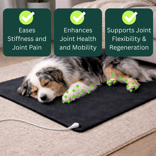 GroundedPaws™ Dog Grounding Mat