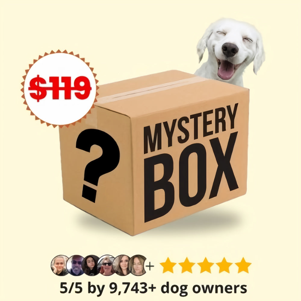 Mystery Dog Box - Limited Edition