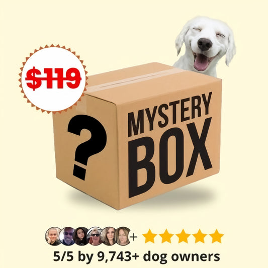 Mystery Dog Box - Limited Edition