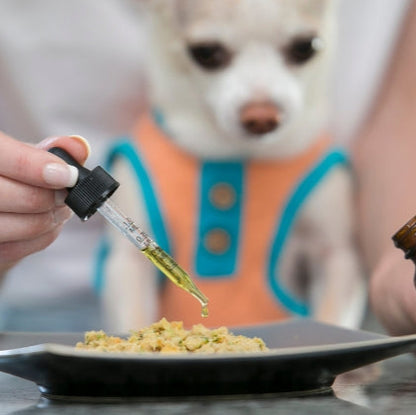 HerbaCalm+ Dog Calming Drops (FREE Today)