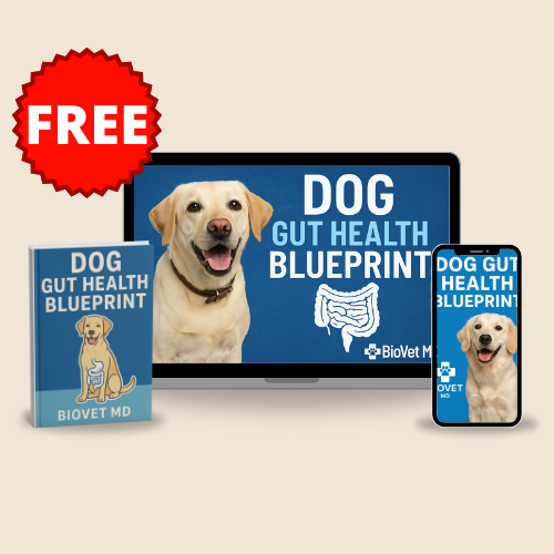 Dog Gut Health Blueprint (FREE)