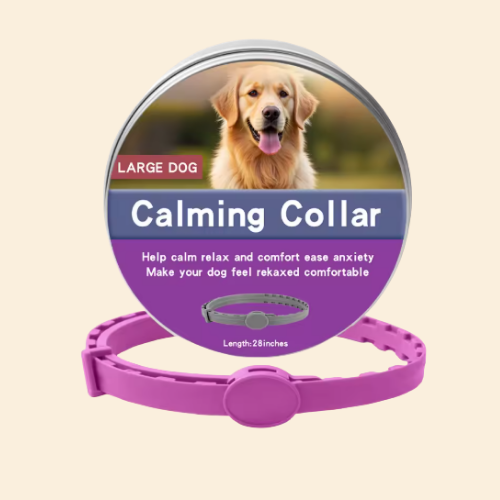Calming Collar For Anxious Dogs