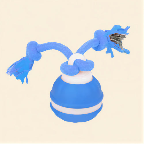 Smart Rolling Ball