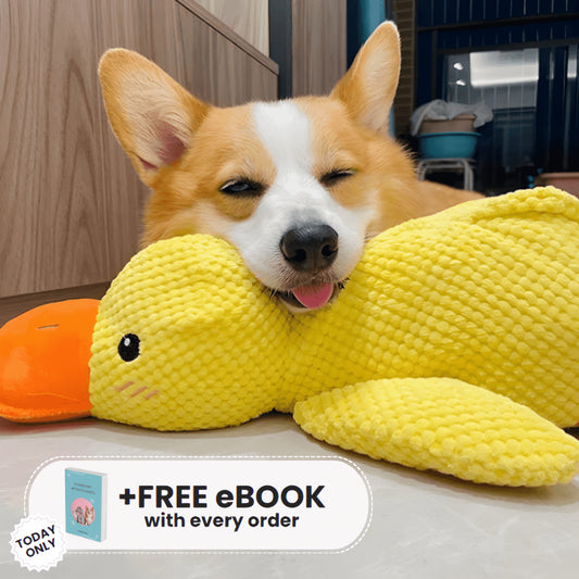 BioVet Calming Duck (Free Today)