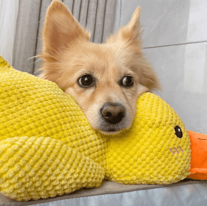 BioVet Calming Duck Toy (FREE Today)