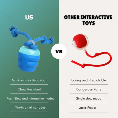 Chaser Dog Toy (FREE Today)