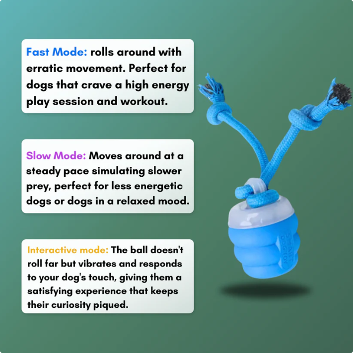 Chaser Dog Toy (FREE Today)