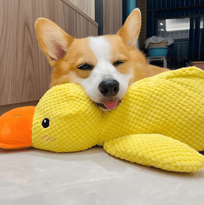 BioVet Calming Duck Toy (FREE Today)