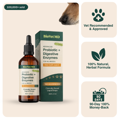 Advanced Digestive Enzyme + Probiotic Support