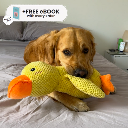 Interactive Duck Toy (FREE Today)