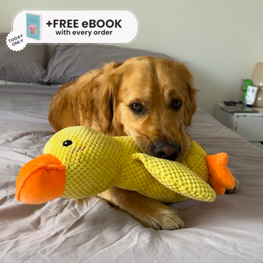 Interactive Duck Toy (FREE Today)
