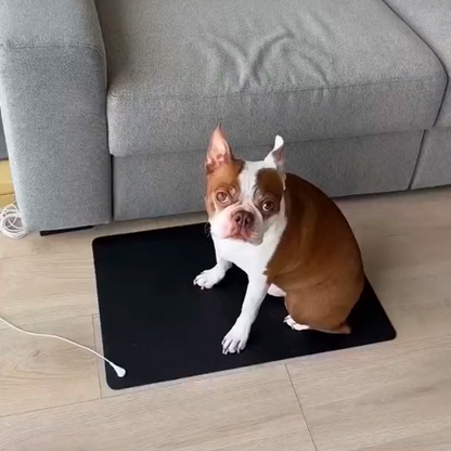 GroundedPaws™ Dog Grounding Mat